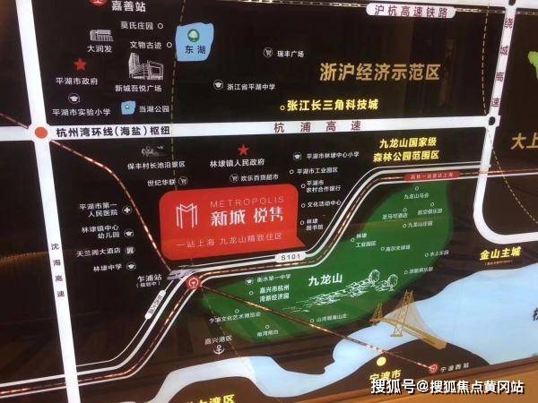 2024最新奥马资料,实地说明解析_微型版61.554