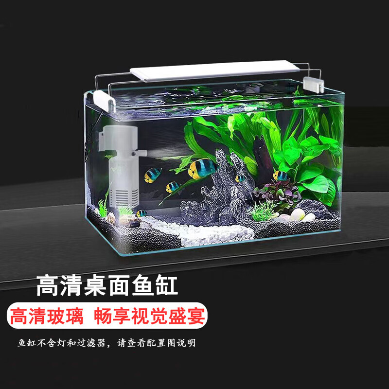 最新水族箱设计，重塑家居水生生态