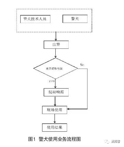 2024新澳精准资料免费提供下载,数据驱动实施方案_豪华版6.24