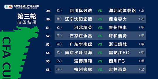 2024澳门精准正板资料免费大全,经济方案解析_MT87.620